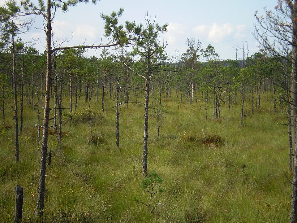 Biarezinski Biosphere Reserve