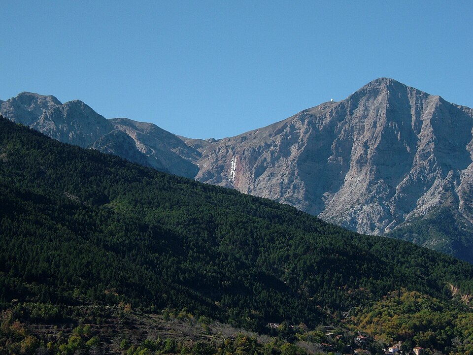 Aroania