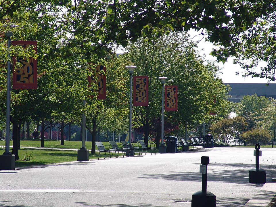 Stony Brook University