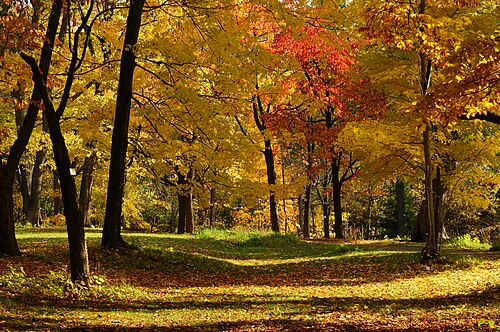 Hokkaido University Botanical Gardens