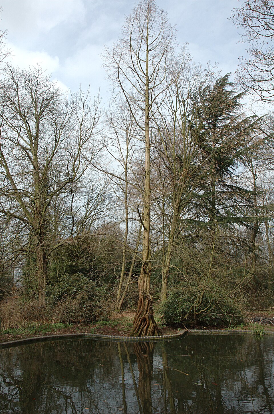 Holland Park