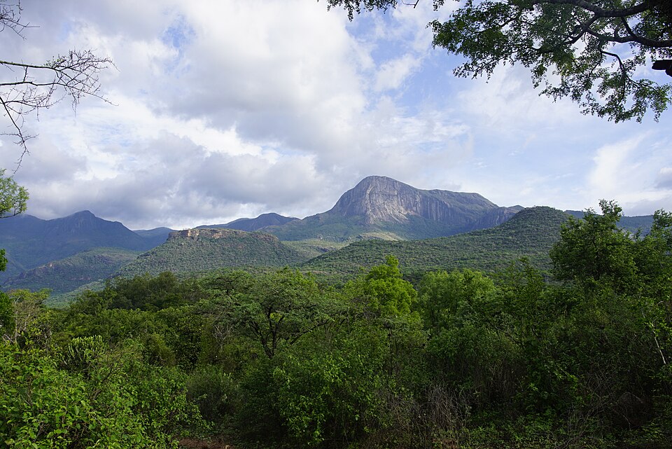 Anaimalai Hills