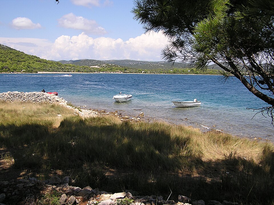Sustipanac