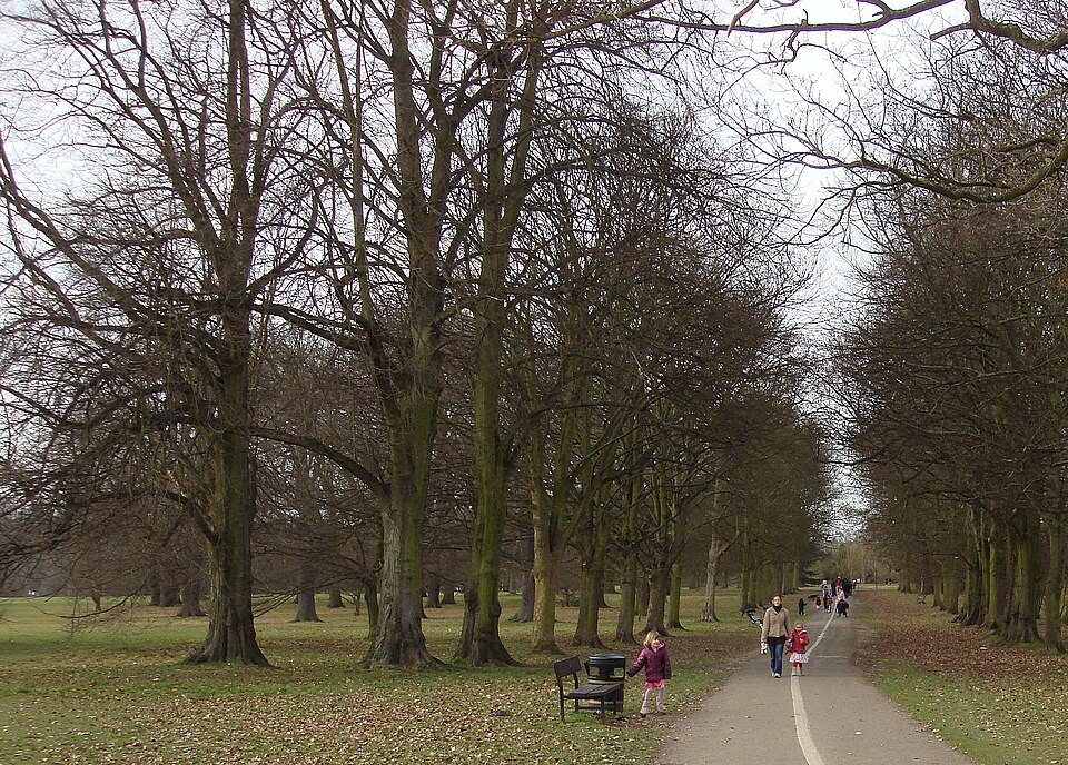 Cassiobury Park