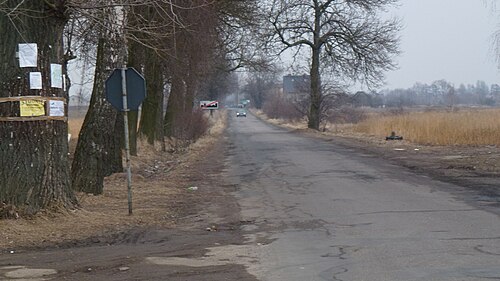 Gałkówek
