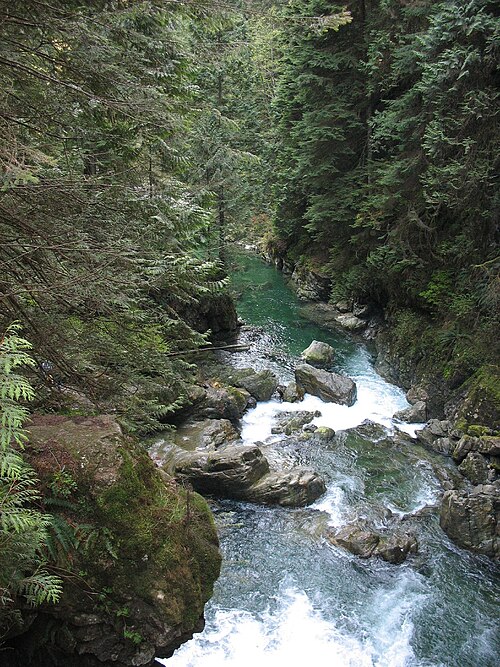 Lynn Canyon Park