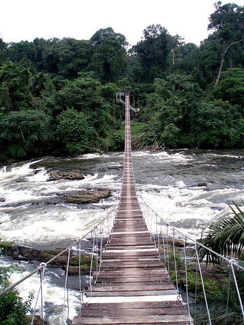 Korup National Park