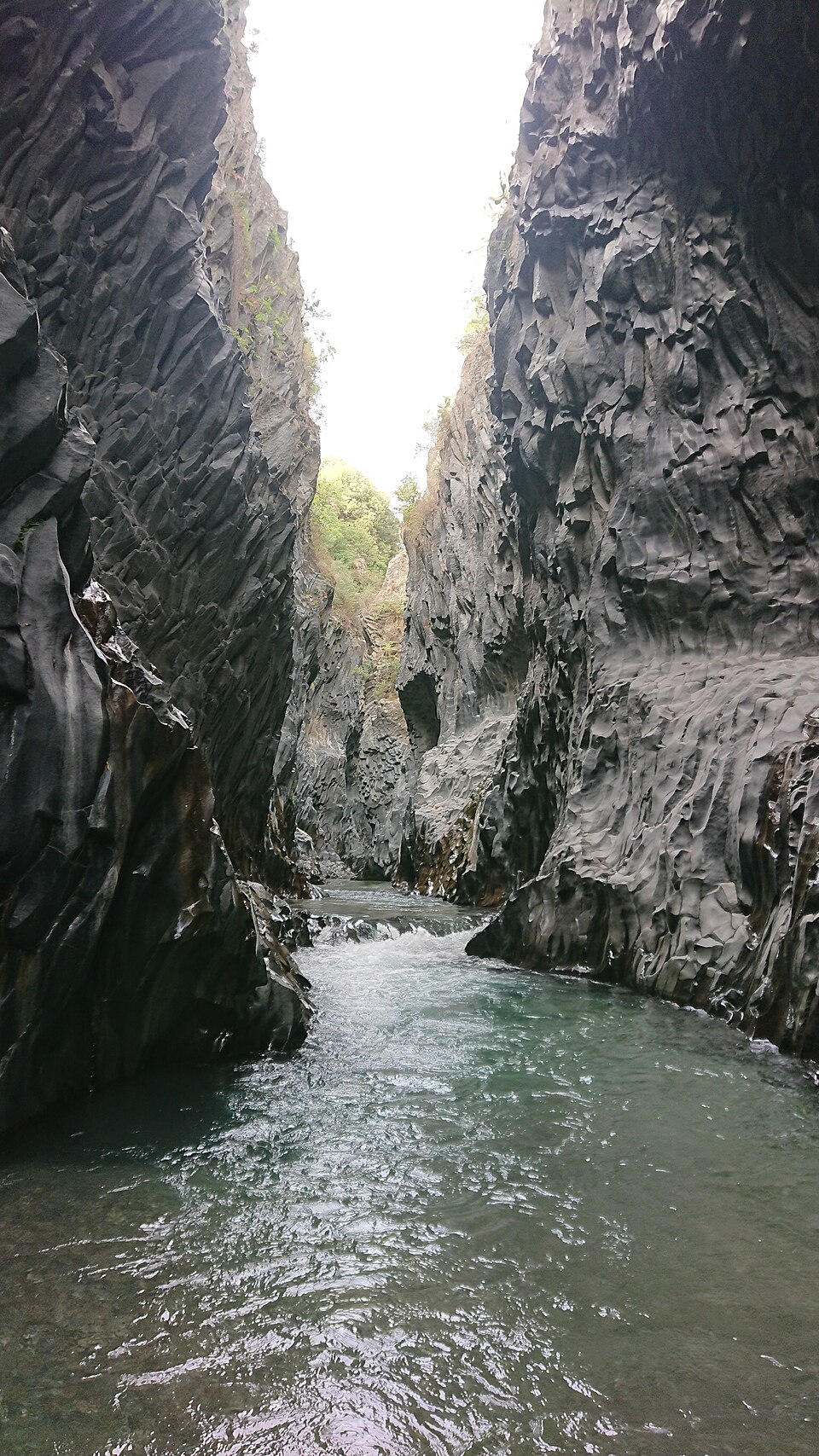 Alcantara