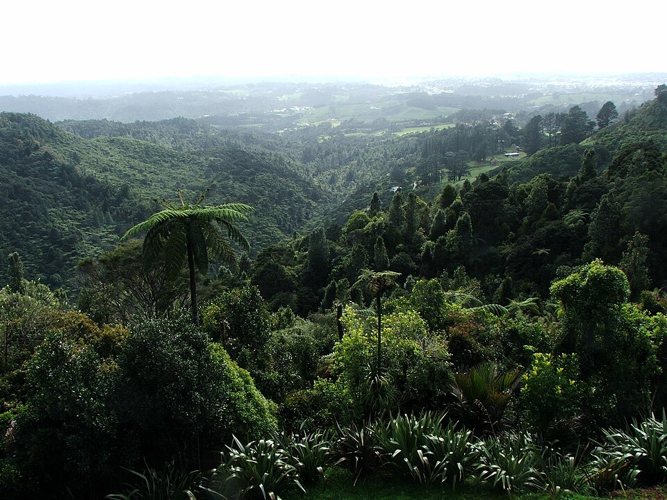 Waitākere Ranges
