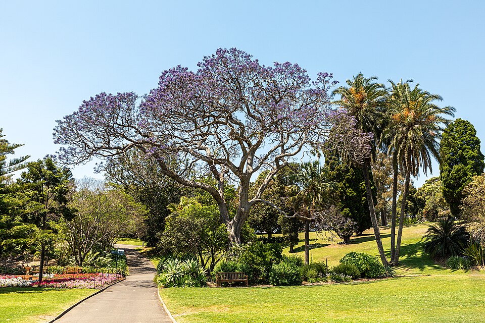 Royal Botanic Gardens, Sydney