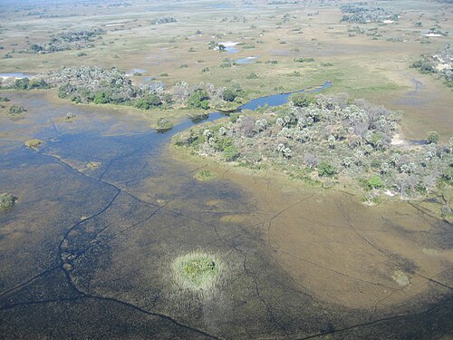 Okavango Delta