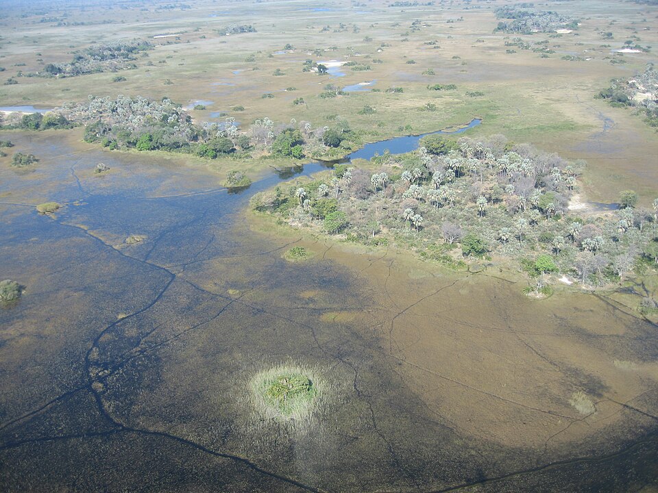 Okavango Delta