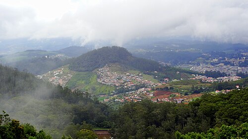 Ooty