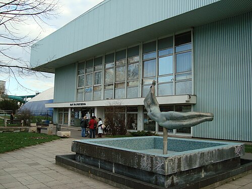 Fabó Éva Swimming Pool