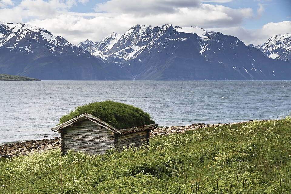 Lyngen