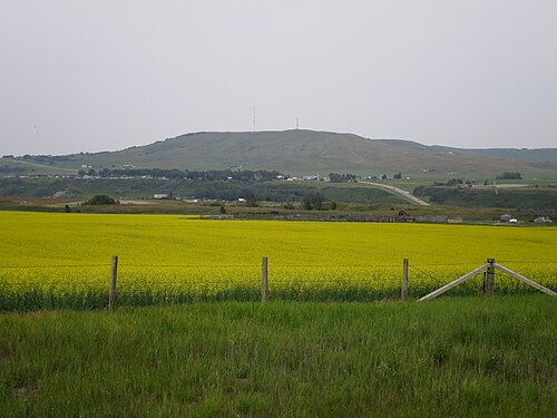 Longview