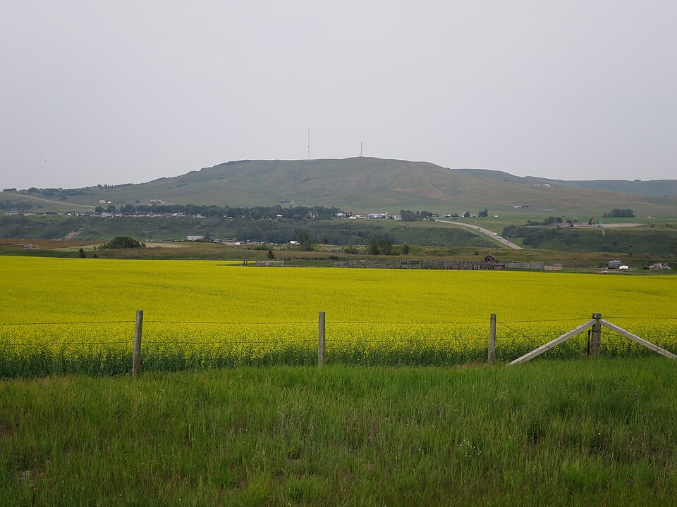 Longview