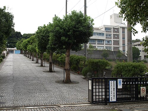 神奈川県立深沢高等学校