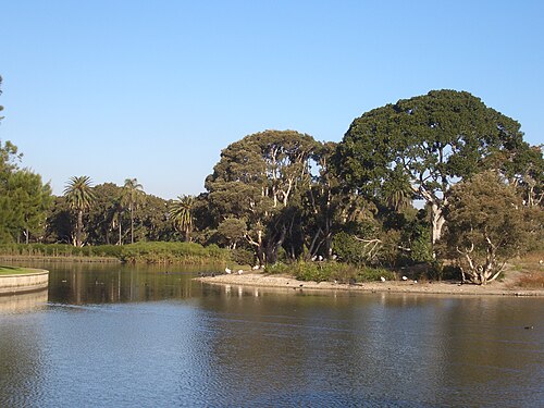 Centennial Park