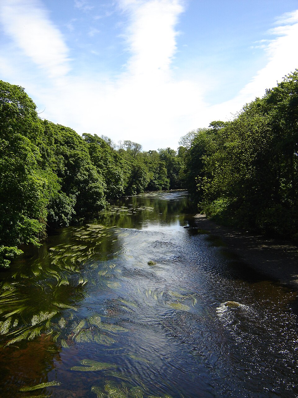 River Tees