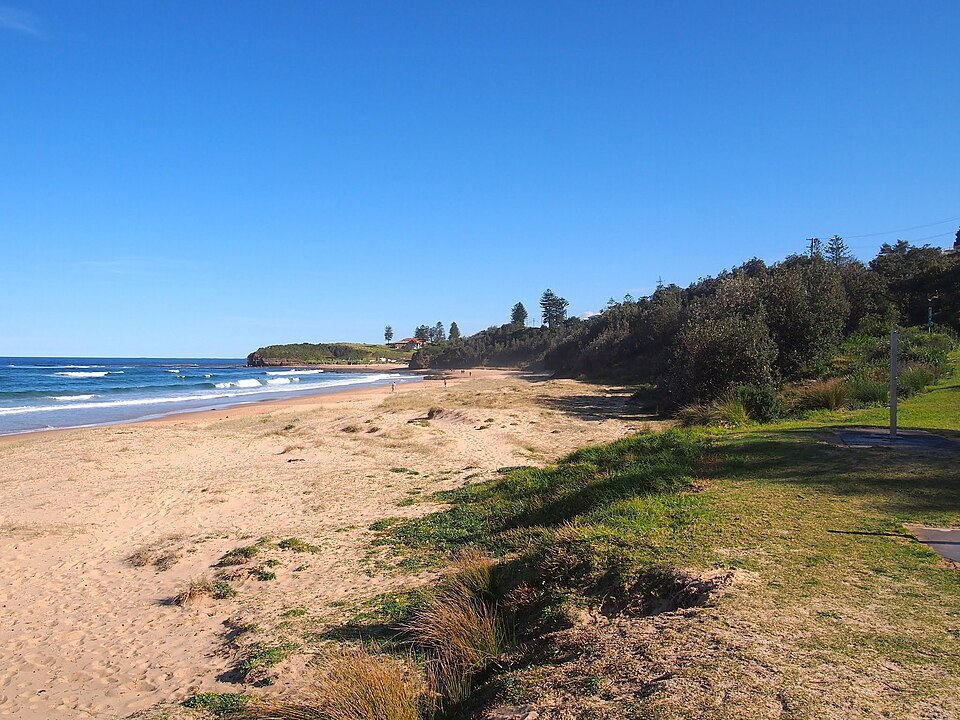 Coledale Beach