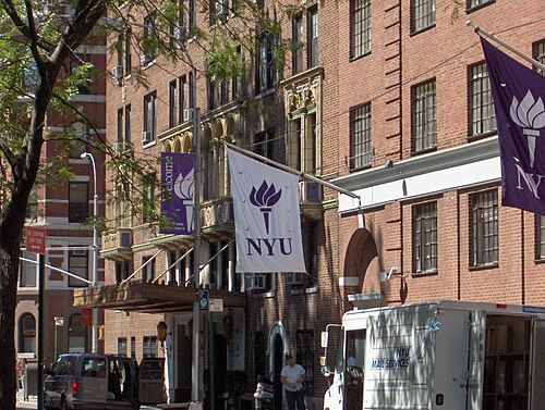 New York University