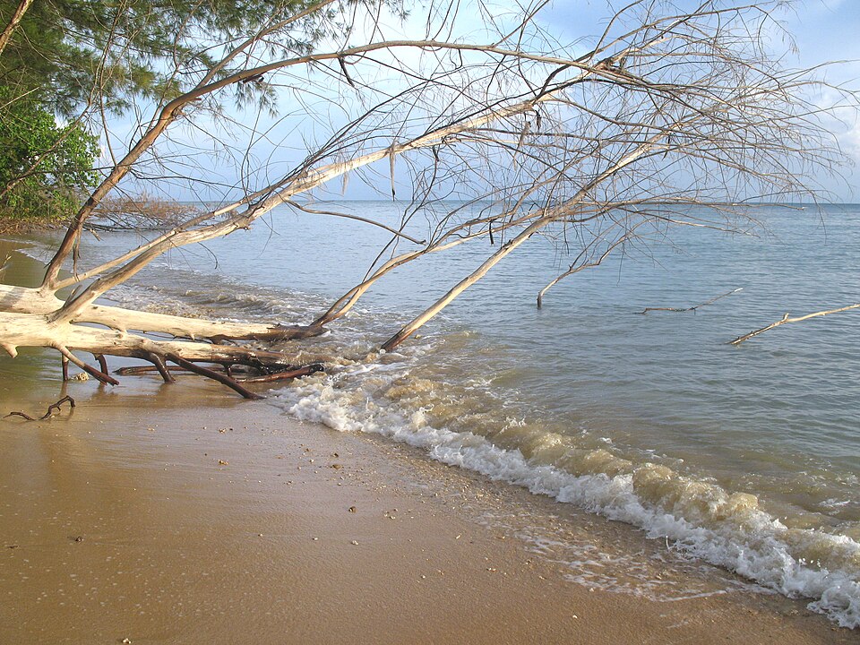 Pulau Tiga