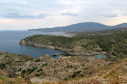 Cape of Creus