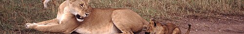 Kenya