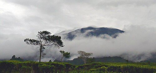 Mount Gede-Pangrango National Park