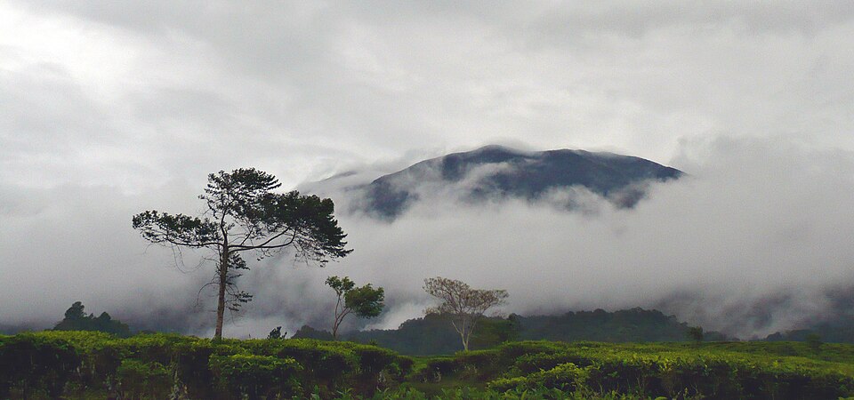 Mount Gede-Pangrango National Park