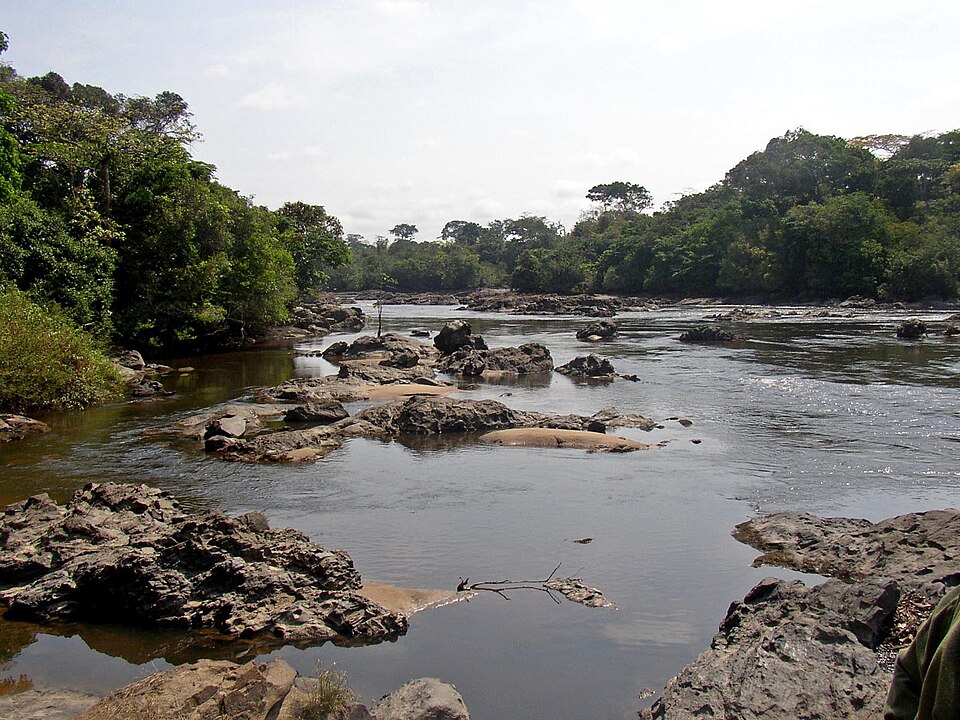 Congo Basin