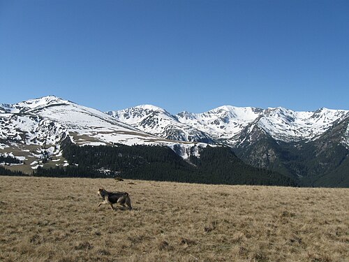 Southern Carpathians