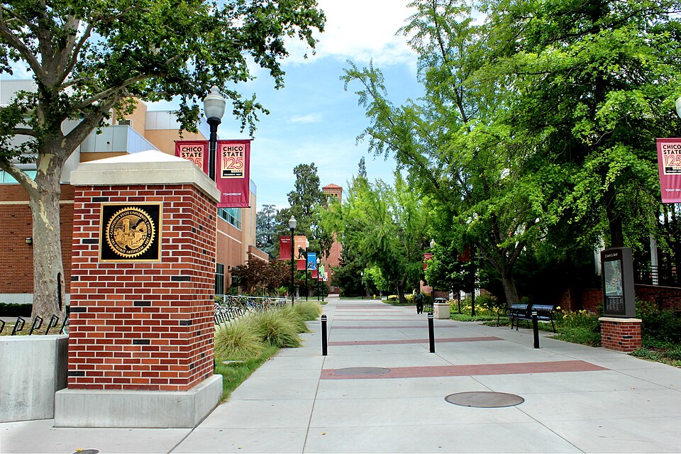 California State University