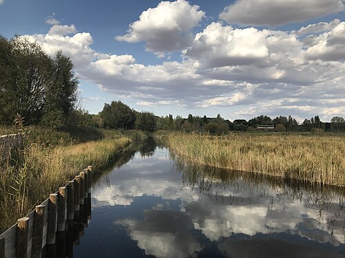 El Cañizar lake