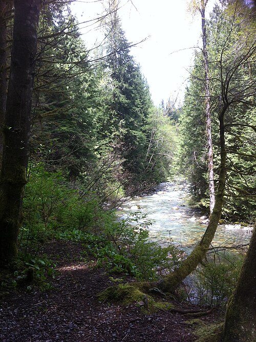 Lynn Valley