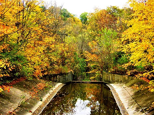 Earl Bales Park