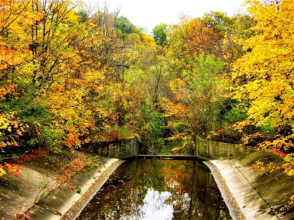 Earl Bales Park