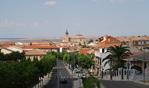 Bargas