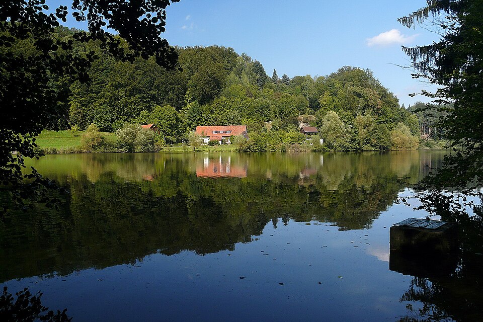 Věžický rybník