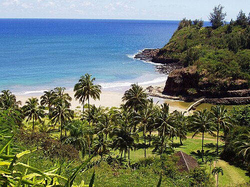 National Tropical Botanical Garden