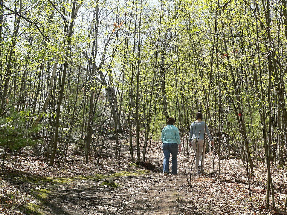 Wilson Mountain Reservation