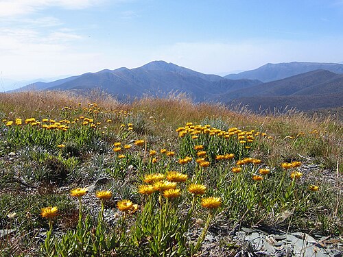 Victorian Alps