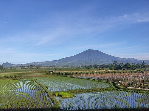 Mount Gede