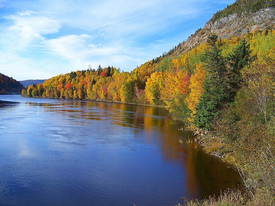 Newfoundland