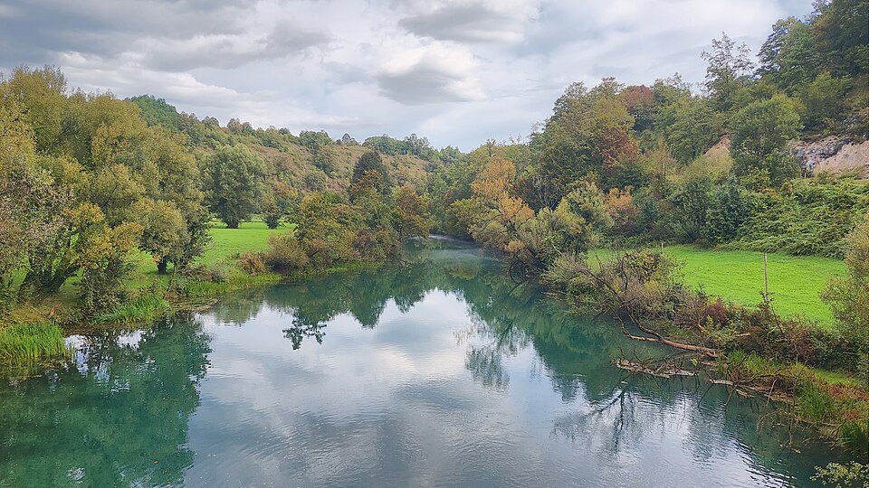 Mrežnica