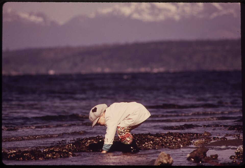 Alki Beach Park