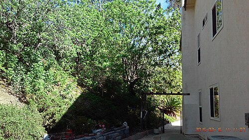 Rancho Peñasquitos