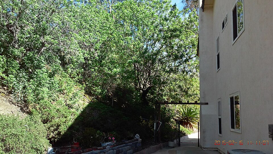 Rancho Peñasquitos