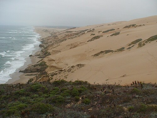 Guadalupe–Nipomo Dunes